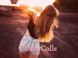 DaisyColle