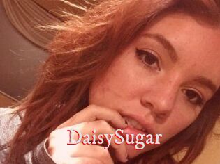 Daisy_Sugar