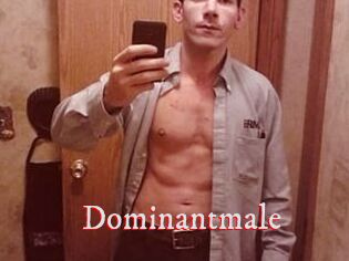 Dominantmale