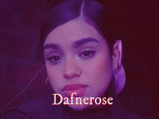 Dafnerose