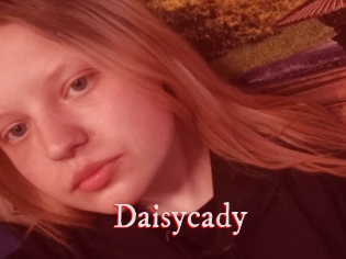 Daisycady