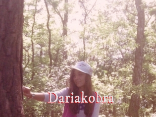 Dariakobra