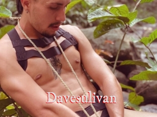 Davesulivan