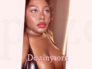 Destinytorn