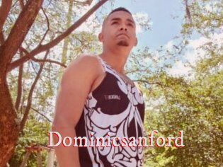 Dominicsanford