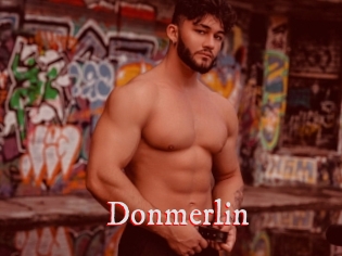 Donmerlin