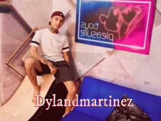 Dylandmartinez