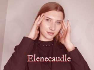 Elenecaudle