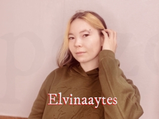 Elvinaaytes