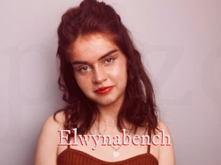 Elwynabench