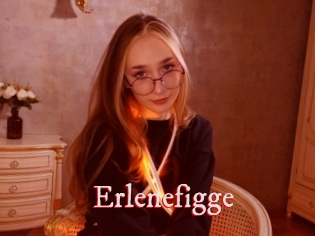 Erlenefigge