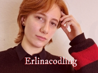 Erlinacodling