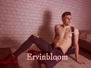 Ervinbloom