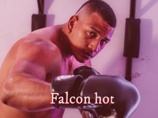 Falcon_hot