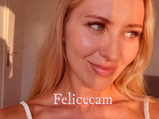 Felicecam