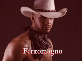 Ferxomagno