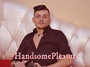 HandsomePleasure