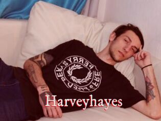 Harveyhayes