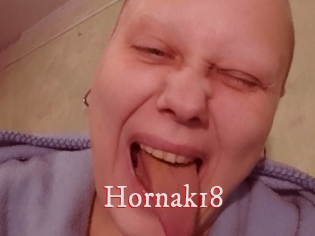 Hornak18