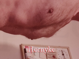 Hornyke