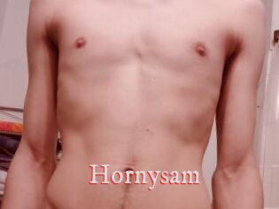 Hornysam