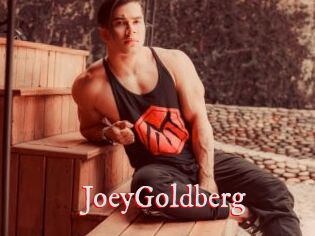 JoeyGoldberg