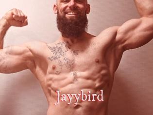 Jayybird