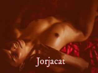 Jorjacat