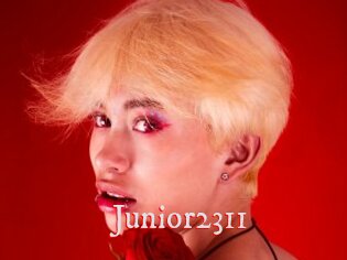 Junior2311