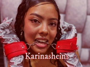 Karinasheins