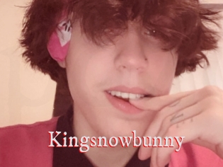 Kingsnowbunny