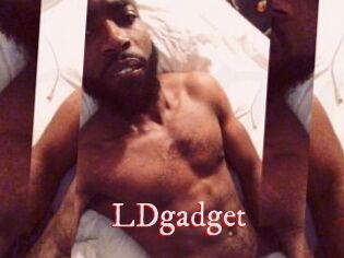 LDgadget