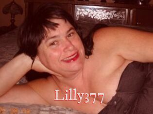 Lilly377