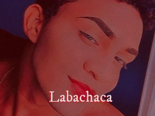 Labachaca