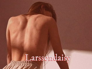 Larssondaisy