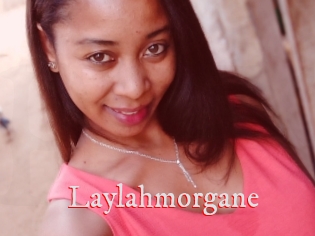 Laylahmorgane