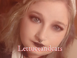 Lettuceandcats