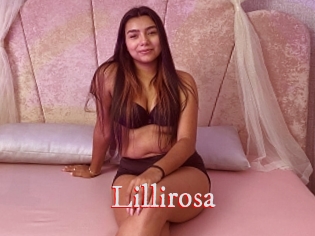 Lillirosa