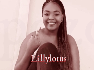 Lillylotus