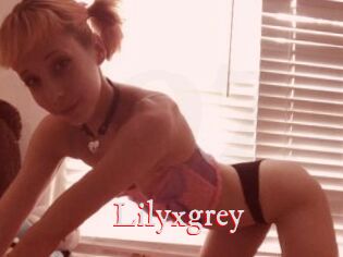 Lilyxgrey