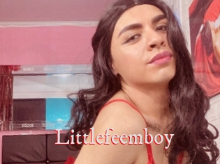 Littlefeemboy