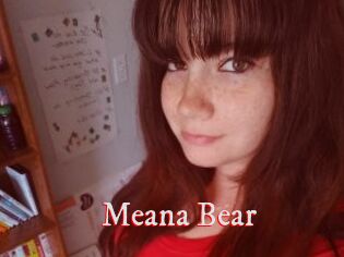 Meana_Bear