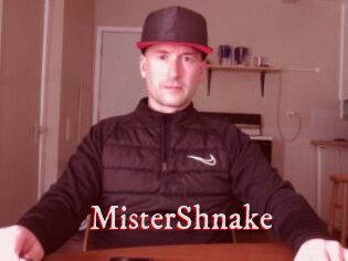 MisterShnake