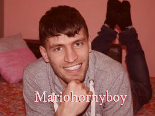 Mariohornyboy