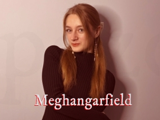 Meghangarfield