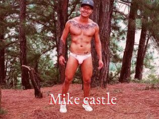 Mike_castle