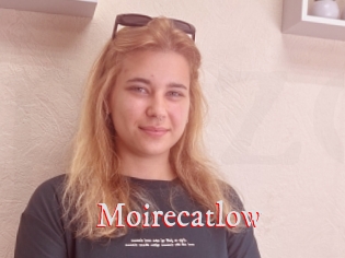 Moirecatlow