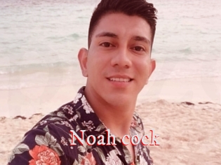 Noah_cock