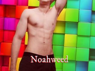 Noahweed