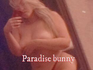 Paradise_bunny